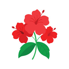 Red hibiscus flower bouquet with green leaves illustration Vector