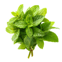 Golden samosas, parsley, and dipping sauce on a white plate evoke a savory, tempting treat.