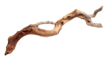 Curved, weathered driftwood branch on black. Knot hole present