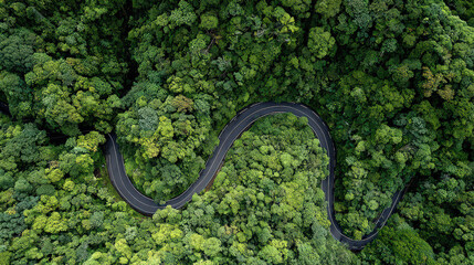 Fototapeta premium aerial view of winding forest road with asphalt curve and greenery