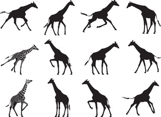 Giraffe Animal Silhouette – Black Minimalist Wildlife Symbol