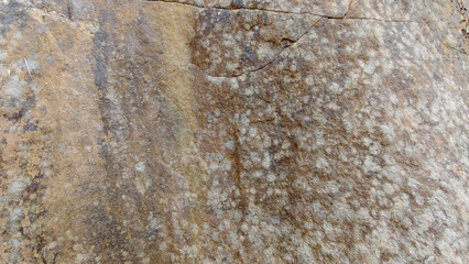 grey stone wall texture abstract background, backdrop wallpaper	