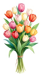 Obraz premium Colorful bunch of vibrant tulips with green leaves tied with twine, isolated on white