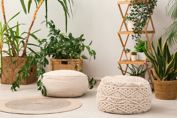 Interior of room with poufs and houseplants near white wall