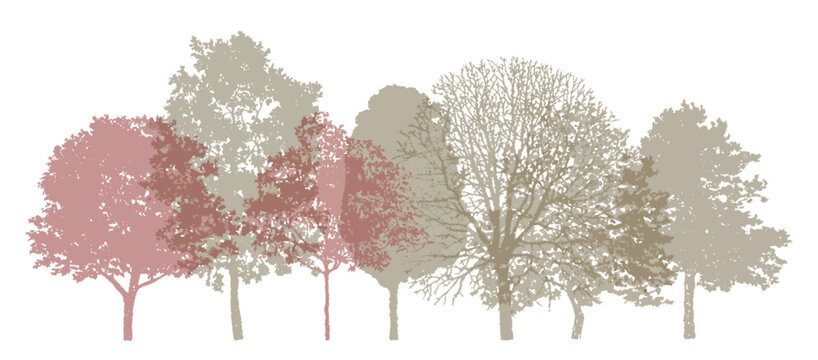 Minimal-style cad side-view tree and wetland forest section outline set, vector illustration for architectural and landscape design, autumn foliage line drawings, environmental site plans