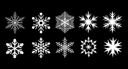 Ten unique white snowflakes arranged on a black background, winter theme