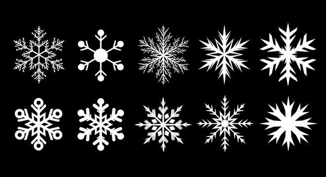 Collection of ten unique white snowflakes on a black background, winter theme