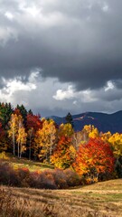 Fototapeta premium Colorful autumn trees against a dramatic, overcast sky atop a grassy hillside