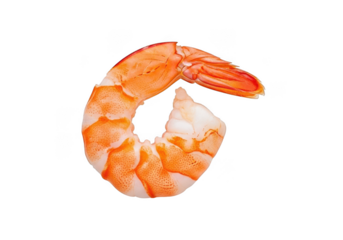Delicious cooked shrimp seafood ingredient ready to eat appetizer food photography stock image isolated on transparent background