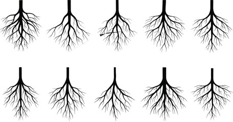 Set of black tree root silhouettes. Vector icon collection showing underground root systems for nature, biology, or ecology graphics.