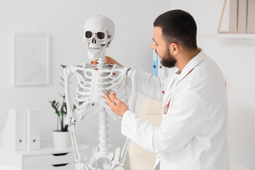 Male doctor examining human skeleton model in clinic