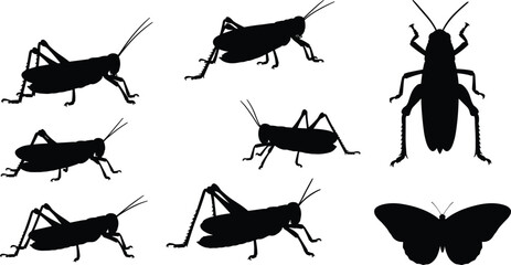 Black silhouettes of grasshoppers and butterfly, vector insect collection, locust jumping and cricket standing, nature wildlife illustration set isolated on white background. © It's Majed Here