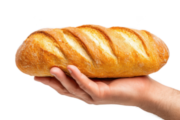 Hand holding a loaf of bread isolated on transparent background