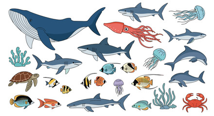 Hand-drawn illustration of diverse marine life, featuring a whale, sharks, fish, and other aquatic creatures on a white background.
