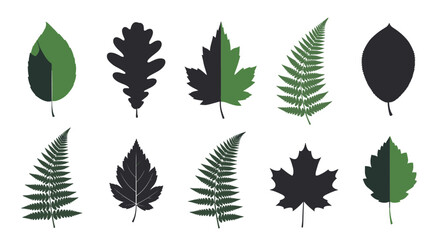 A collection of diverse tree and fern leaf silhouettes, presented as illustrations in green and dark grey, some featuring a modern split-color design.