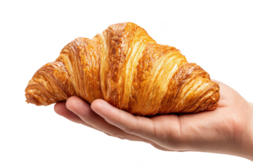 Hand holding a croissant isolated on transparent background