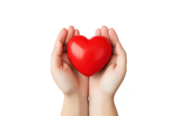 Red heart in hand isolated on transparent background
