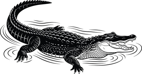 Alligator swimming, reptile illustration, wildlife vector, black and white drawing, nature concept, animal art, water ripples, predator pose