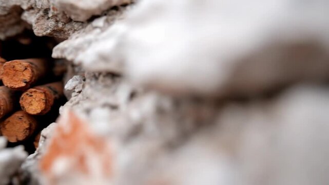 Damaged concrete wall revealing rusty metal rods macro detail