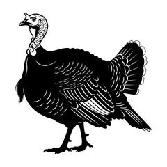 Female Turkey Hen Standing Silhouette Vector Icon