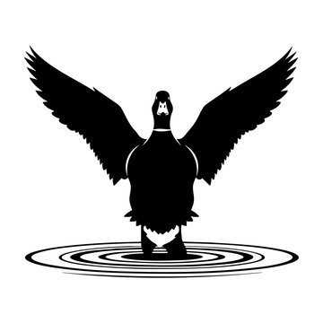 Duck Landing on Water Silhouette Vector Graphic