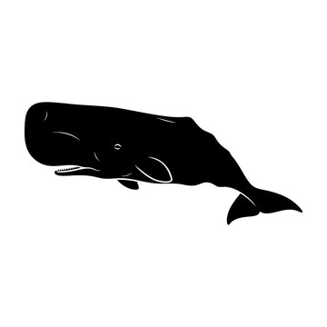 Sperm Whale Silhouette Side Profile Vector Art