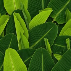 Lush greenery: An immersive field of textured, vibrant banana leaf abundance