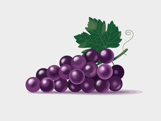 A beautifully rendered illustration of a cluster of purple grapes accompanied by green leaves, symbolizing abundance, vitality, and the richness of nature.