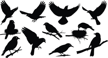 Obraz premium Set of black bird silhouettes flying with spread wings and perched on tree branches with nests vector illustration collection.