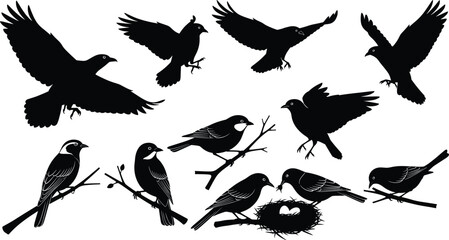 Naklejka premium Collection of black bird silhouettes featuring flying ravens, perched sparrows on branches, and eagles with nest vector illustration set.
