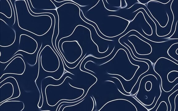 Abstract Blue Topographic Map Contour Lines Loop