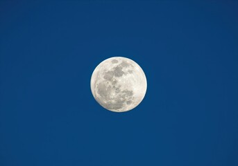 Full moon centered in a deep blue sky showing detailed surface texture and craters.