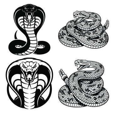 A vector illustration features four distinct snake designs including cobra and rattlesnake depictions in a bold black and white style