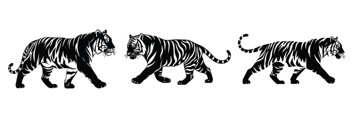 Three majestic tigers are depicted in a striking black and white vector illustration showcasing their powerful strides and distinctive striped patterns