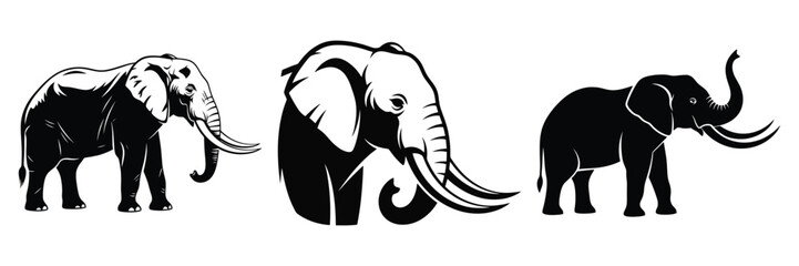 Three graphic elephant illustrations stand in stark black and white against a clean background showcasing different poses and views