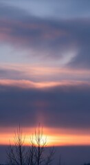 Tranquil dawn canvas: Bare branches silhouette against the pastel sky scenery