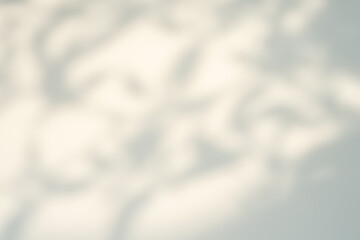 Soft-focus, abstract background of bright white and subtle gray, featuring dappled, out-of-focus shadows cast by leaves or trees. Ideal for texture, overlay, or graphic design.