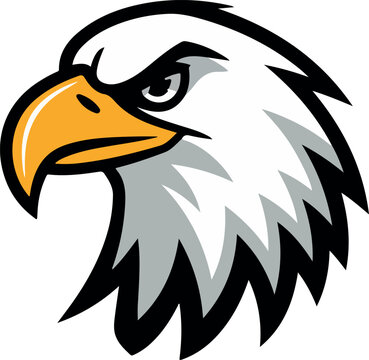 eagle head vector illustration