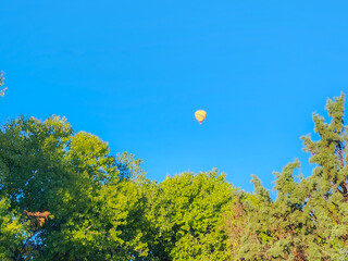 hot air balloon in the sky