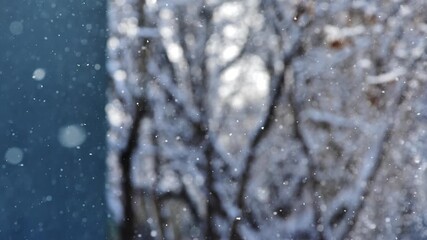 Artistic snowflakes drift in sunlight beside building corner, forest backdrop - Powered by Adobe