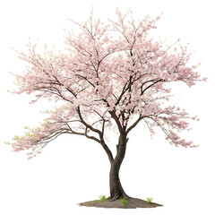 Obraz premium Red cherry tree isolated on transparent background png