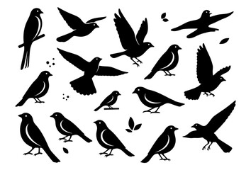 Collection of black bird silhouettes, set of different flying, perched and standing bird poses with leaves