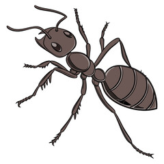 “Detailed Ant Illustration Insect Vector Drawing for Nature and Education Design”