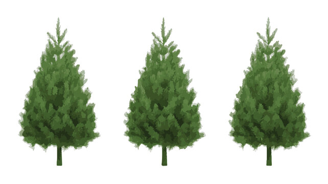 Three Green Pine Trees with Textured Foliage Isolated on White Background vector illustration
