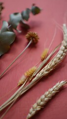 Fototapeta premium Dried wheat and floral arrangement on a pink background for a rustic aesthetic look