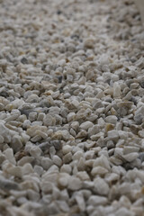 Close-up of White and Grey Decorative Gravel Stones Texture