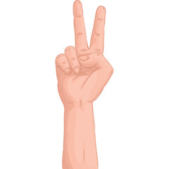 Human Hand Showing Two Fingers Up A Gesture Of Peace Or Victory In A Detailed Drawing With A Transparent Background