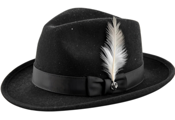 Weathered black cavalier hat featuring a striking white feather for display.