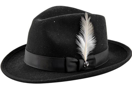 Weathered black cavalier hat featuring a striking white feather for display.