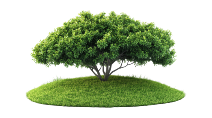 Lush green tree on grassy mound isolated on a transparent background 1